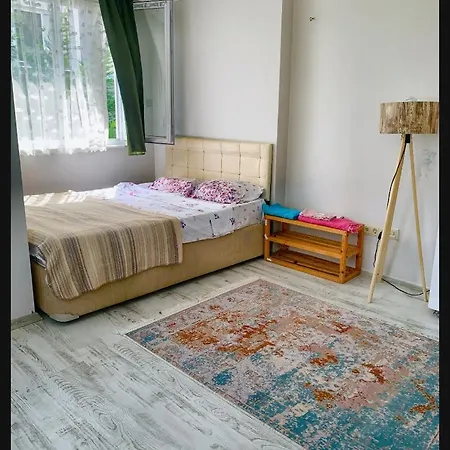 Villa. 10Mins To Airport. Forest View *