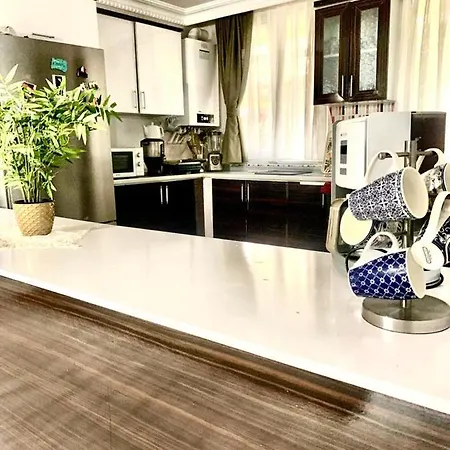 Villa. 10Mins To Airport. Forest View בית הארחה Tasoluk