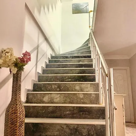 Villa. 10Mins To Airport. Forest View בית הארחה *